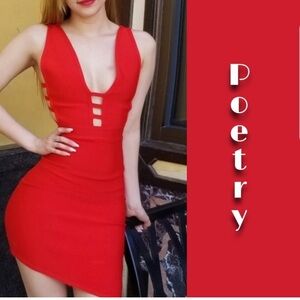 Poetry Red Sleeveless Plunge Bodycon Mini Dress